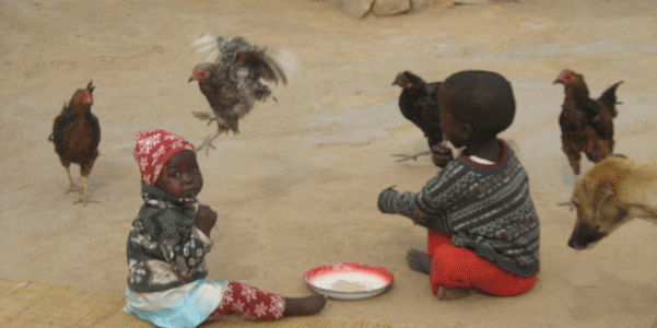 enteropatía ambiental