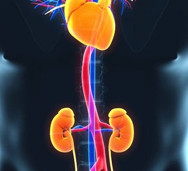 ¿Qué tan grave es un aneurisma en la aorta?