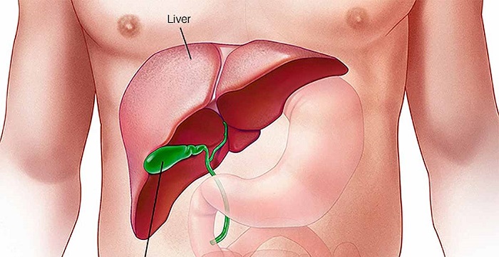 Tipos de infección del hígado