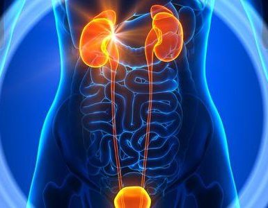 hipouricemia renal