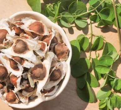 Beneficios para la salud de las semillas de Moringa y maneras de usarlo