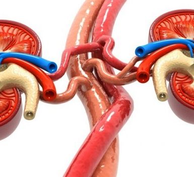 Infarto Renal