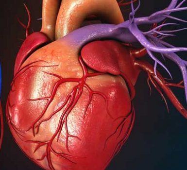 Quién está en riesgo de disección aórtica