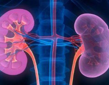 Qué es la enfermedad renal crónica en etapa 1