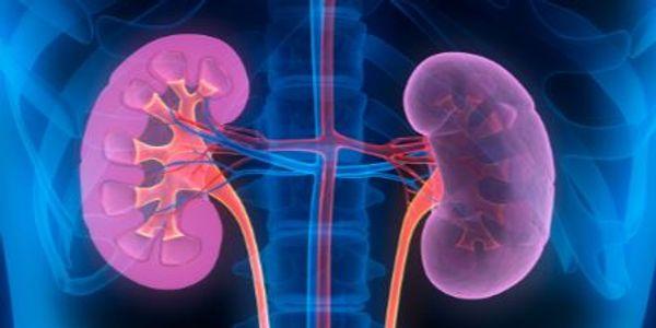 Qué es la enfermedad renal crónica en etapa 1