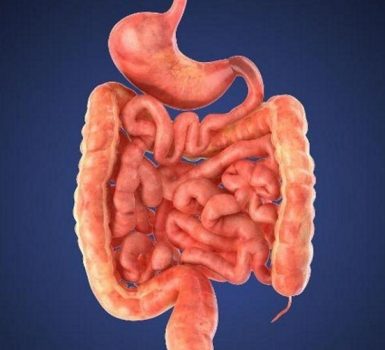 Qué es la enteropatía por pérdida de proteínas y cómo se trata