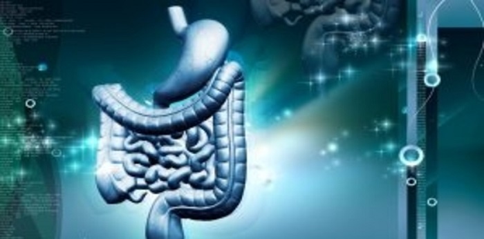 Qué son los tumores del estroma gastrointestinal y cómo se tratan