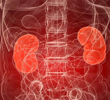 Síntomas de insuficiencia renal y por qué ocurre la insuficiencia renal
