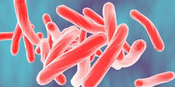 glomerulonefritis o glomerulonefritis
