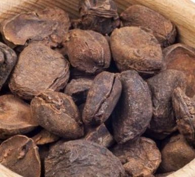 Beneficios de la nuez de cola en el tratamiento de la impotencia masculina, la pérdida de peso, el metabolismo mejorado y más