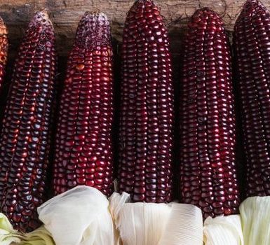 Beneficios y efectos secundarios del extracto de maíz morado