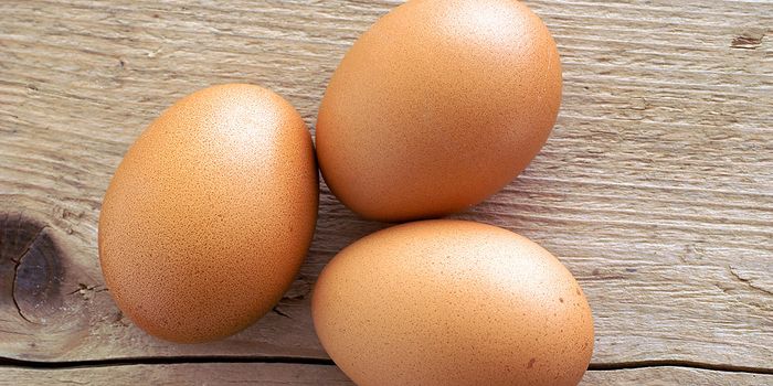 Huevos y colesterol los huevos aumentan los niveles de colesterol