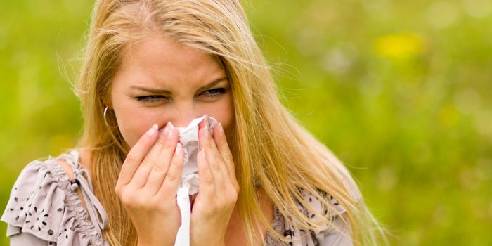 Alimentos para comer y evitar para la fiebre del heno
