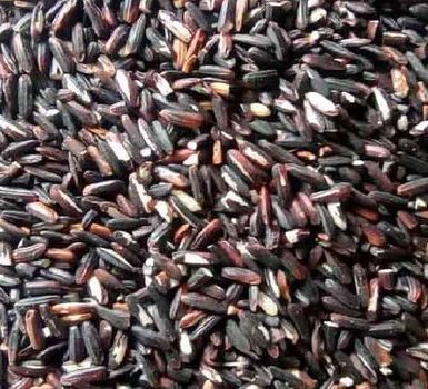 Arroz negro valor nutricional, beneficios para la salud, condiciones que son útiles para tratar
