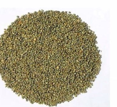 Beneficios para la salud de Bajra o mijo