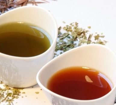Beneficios para la salud de té de sasafrás