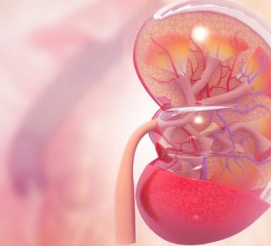 Cuál es el período de recuperación para la nefritis lúpica