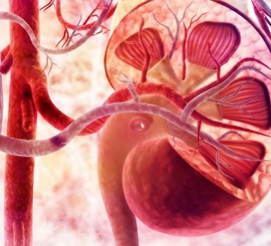 Cuál es el pronóstico para la nefritis lúpica