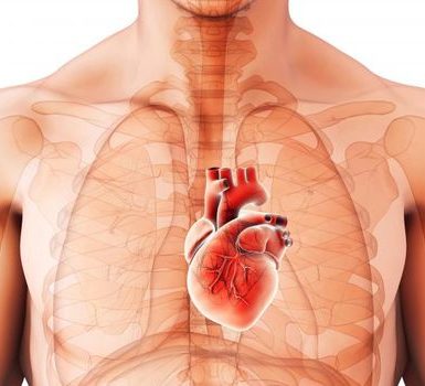 Cuál es la mejor dieta para la hipertrofia ventricular izquierda