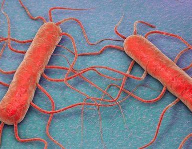 Cuáles son los primeros signos de la listeria