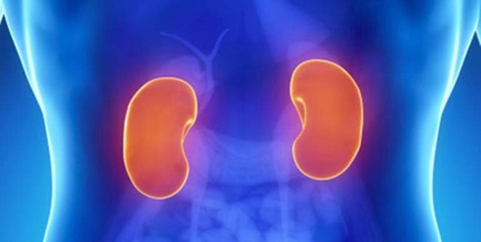 Cómo afecta el lupus a los riñones