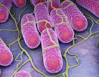 Cómo afecta la listeria al cuerpo