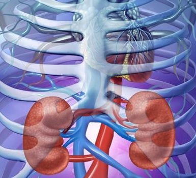 El exceso de proteínas puede causar daño renal