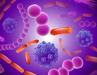 Formas únicas en las que las bacterias intestinales pueden ayudarlo.