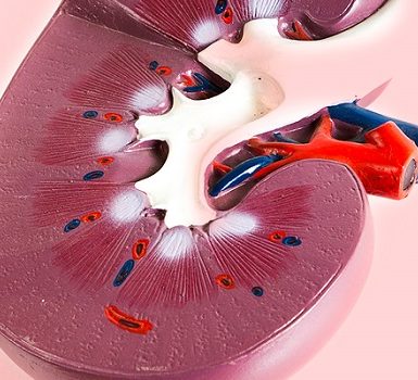 Glomeruloesclerosis