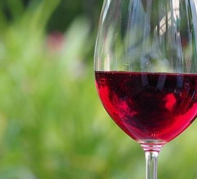 Vino tinto y longevidad el resveratrol lo ayuda a vivir más tiempo