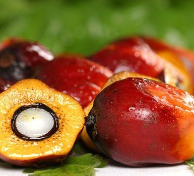 beneficios asombrosos del aceite de palmiste