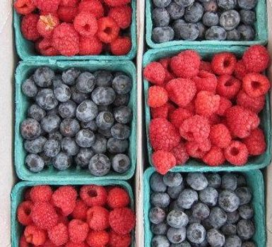 beneficios de las bayas que pueden ayudar a acelerar un estilo de vida saludable