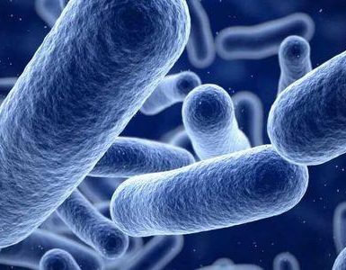 como la listeria causa aborto involuntario
