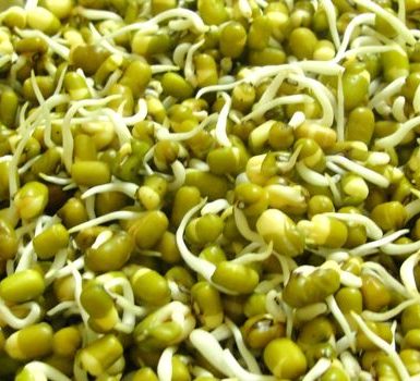 increíbles beneficios de belleza de Moong Dal o Moong Bean para la piel y el cabello