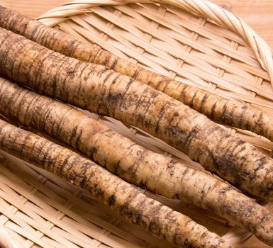 increíbles beneficios de la raíz de bardana para mantener nuestro cuerpo saludable