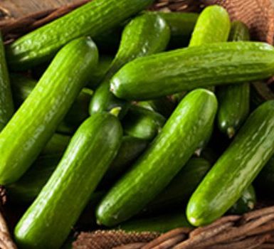 increíbles beneficios para la salud de pepino o Kakdi (Kheera)