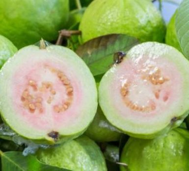 maravillosos beneficios para la salud de la piel y el cabello de la guayaba
