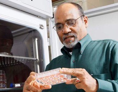 puedes matar listeria en un microondas