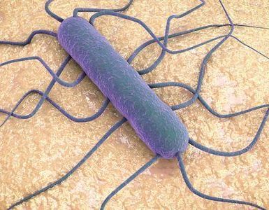 que tan común es la listeria
