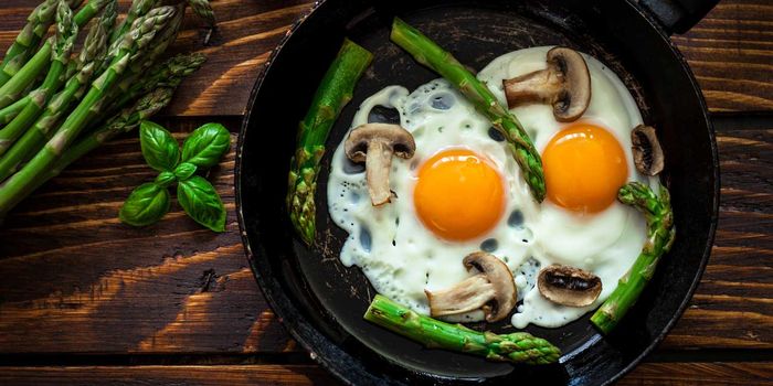 razones por las que los huevos son los alimentos más saludables del planeta