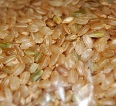 tipos de arroz integral y sus 4 peligros comunes asociados